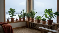 Winter houseplant care made easy: simple steps to keep your indoor jungle thriving